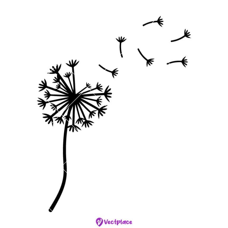 Dandelion Svg, Flower Svg, Cut File, Cricut, Png, Vector - Vectplace